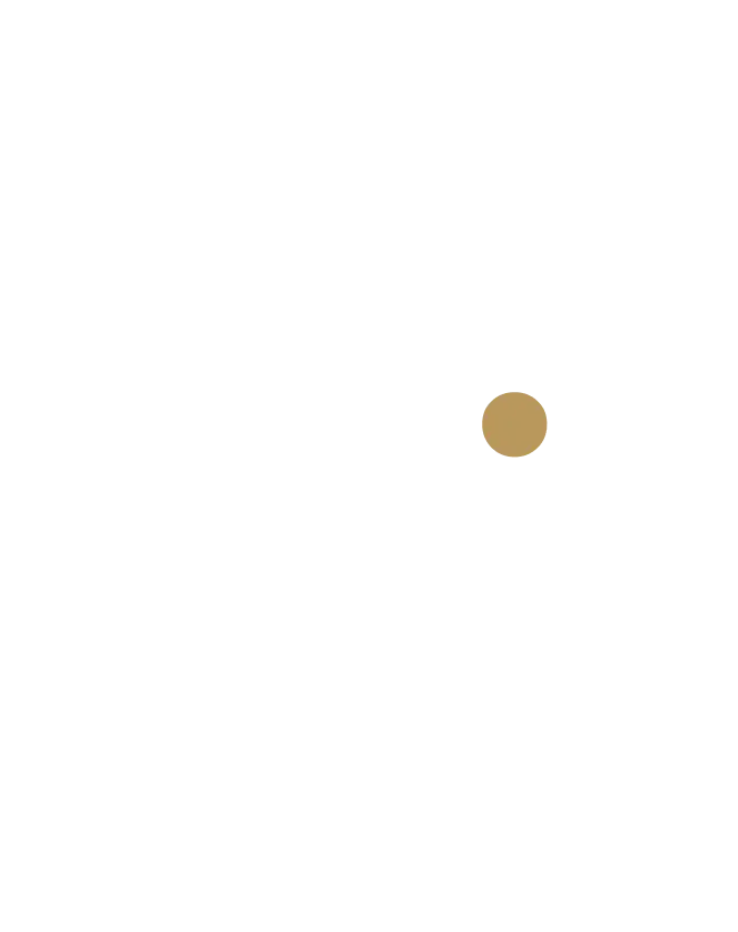 4 - Le comité des projets
