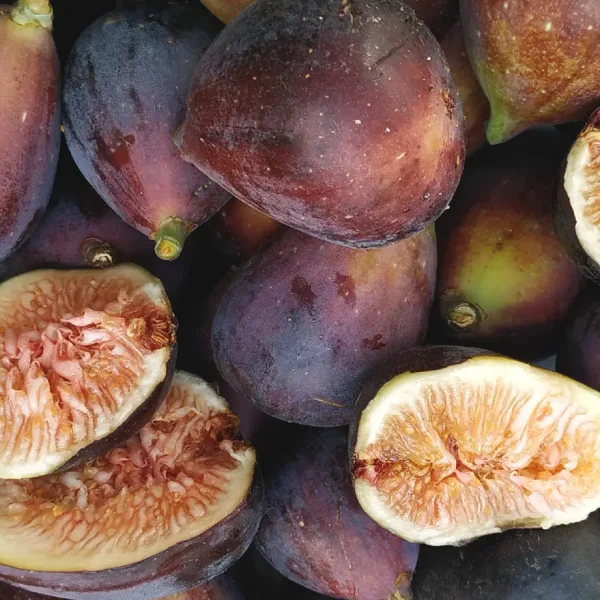 Figues