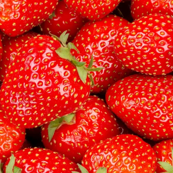Fraises