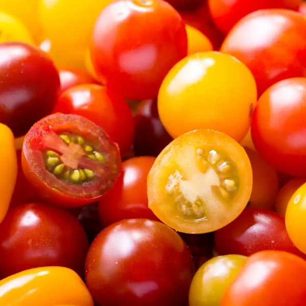 Tomates cerise